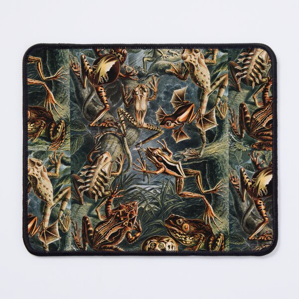 Item preview, Batrachia–Frösche frog by Ernst Haeckel designed and sold by TeeARTHY.
