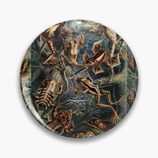 Item preview, Batrachia–Frösche  frog  by Ernst Haeckel designed and sold by TeeARTHY.