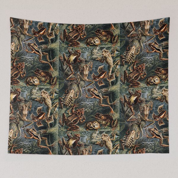 Item preview, Batrachia–Frösche  frog  by Ernst Haeckel designed and sold by TeeARTHY.