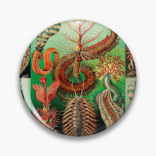 Item preview, Chaetopoda–Borstenwürmer -Chaetopoda bristle worms by Ernst Haeckel designed and sold by TeeARTHY.