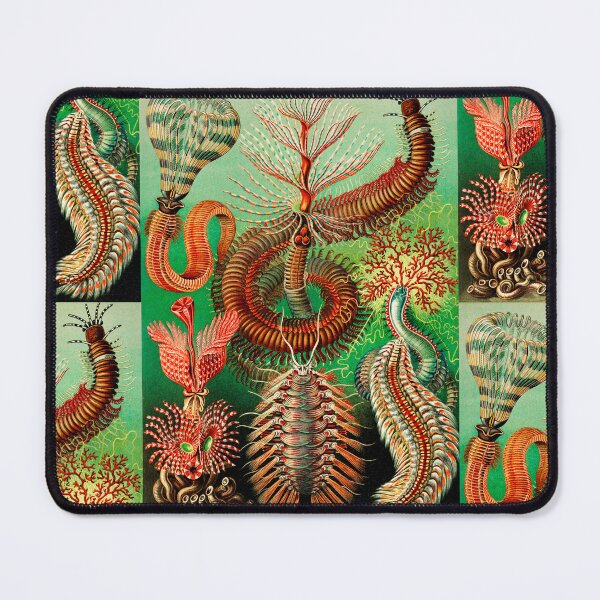 Item preview, Chaetopoda–Borstenwürmer -Chaetopoda bristle worms by Ernst Haeckel designed and sold by TeeARTHY.