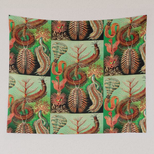 Item preview, Chaetopoda–Borstenwürmer -Chaetopoda bristle worms by Ernst Haeckel designed and sold by TeeARTHY.
