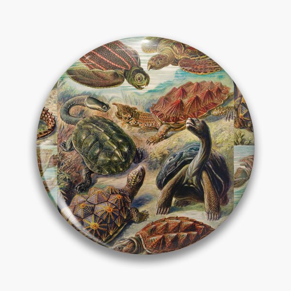 Item preview, Chelonia–Schildkröten -tortoise-galapagos tortoise  by Ernst Haeckel designed and sold by TeeARTHY.