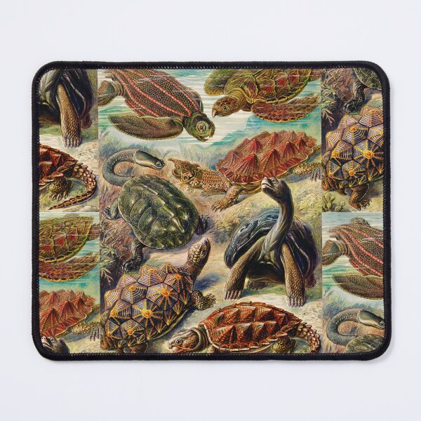 Item preview, Chelonia–Schildkröten -tortoise-galapagos tortoise  by Ernst Haeckel designed and sold by TeeARTHY.