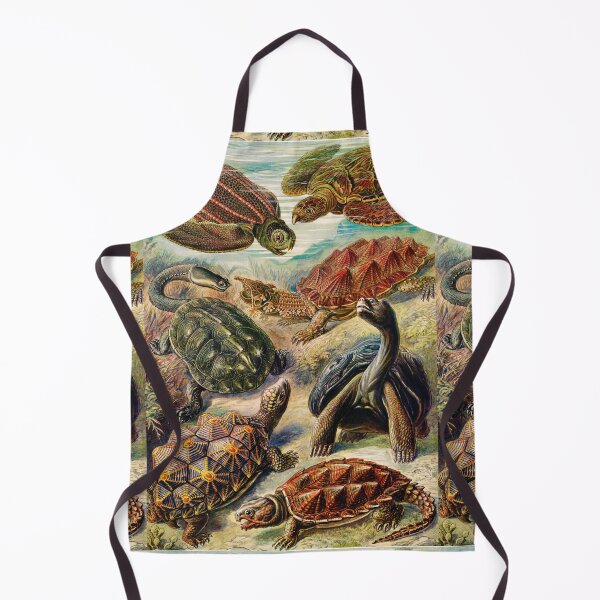 Item preview, Chelonia–Schildkröten -tortoise-galapagos tortoise by Ernst Haeckel designed and sold by TeeARTHY.