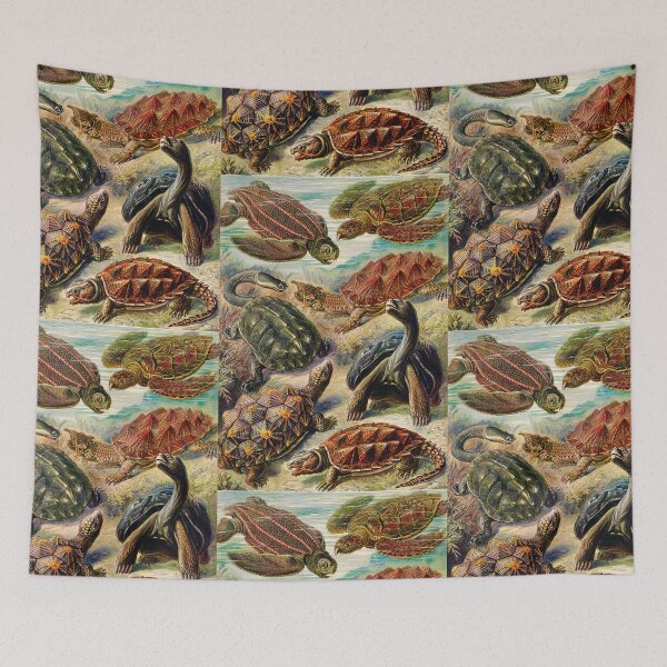 Item preview, Chelonia–Schildkröten -tortoise-galapagos tortoise  by Ernst Haeckel designed and sold by TeeARTHY.