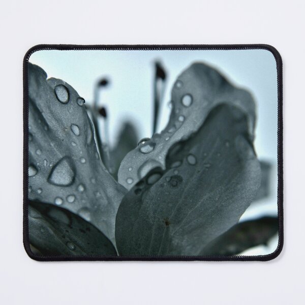 Item preview, Touched By Light designed and sold by Janeesa Payne.