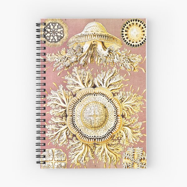 Item preview, Discomedusae–Schweibenquallen -gold jellyfish  Ernst Haeckel -Scientific Illustration Jellyfish by Ernst Haeckel designed and sold by TeeARTHY.