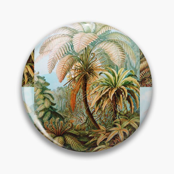 Item preview, Filicinae–Laubfarne -Ferns   by Ernst Haeckel designed and sold by TeeARTHY.
