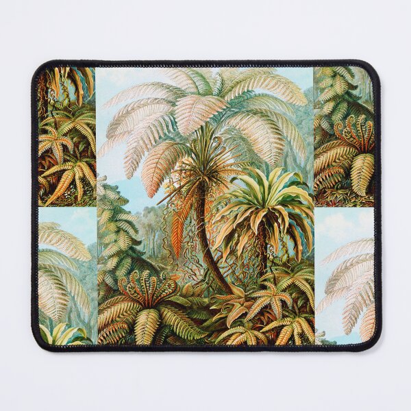 Item preview, Filicinae–Laubfarne -Ferns   by Ernst Haeckel designed and sold by TeeARTHY.