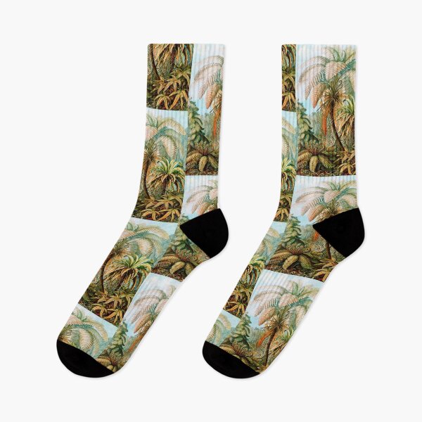 Item preview, Filicinae–Laubfarne -Ferns   by Ernst Haeckel designed and sold by TeeARTHY.