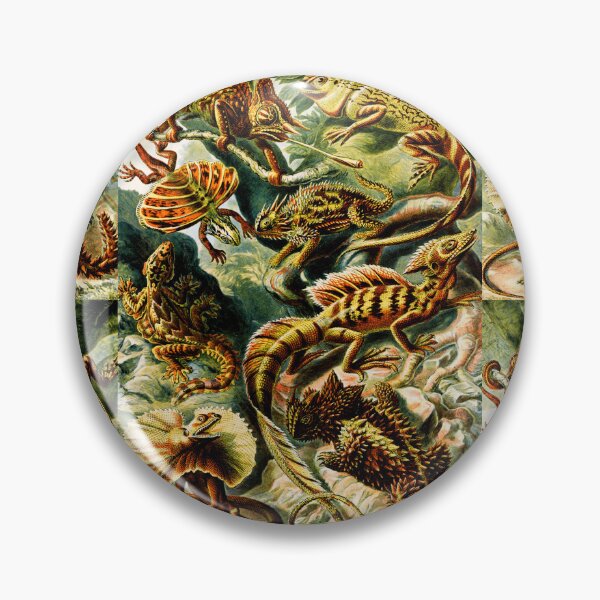 Item preview, Lacertilia–Eidechlen- Green anole-Gila monster- lizard  by Ernst Haeckel designed and sold by TeeARTHY.