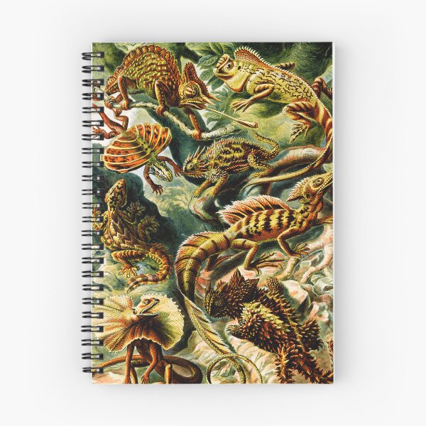 Item preview, Lacertilia–Eidechlen- Green anole-Gila monster- lizard  by Ernst Haeckel designed and sold by TeeARTHY.
