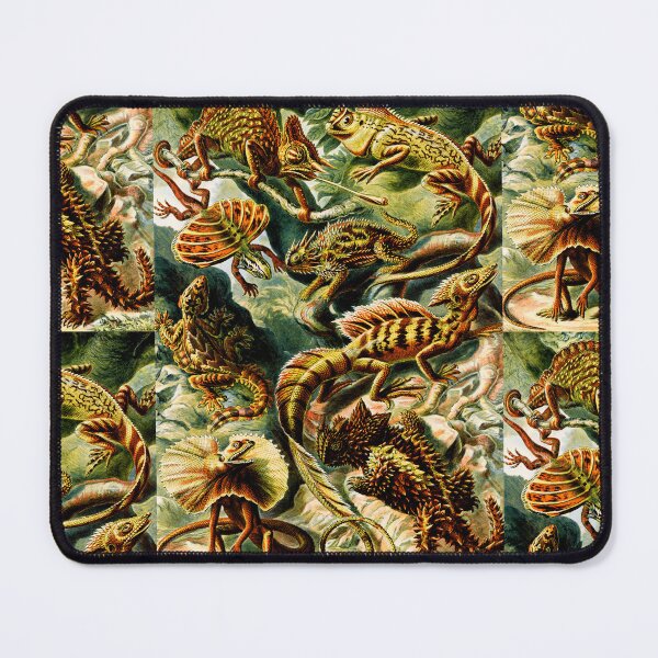 Item preview, Lacertilia–Eidechlen- Green anole-Gila monster- lizard  by Ernst Haeckel designed and sold by TeeARTHY.