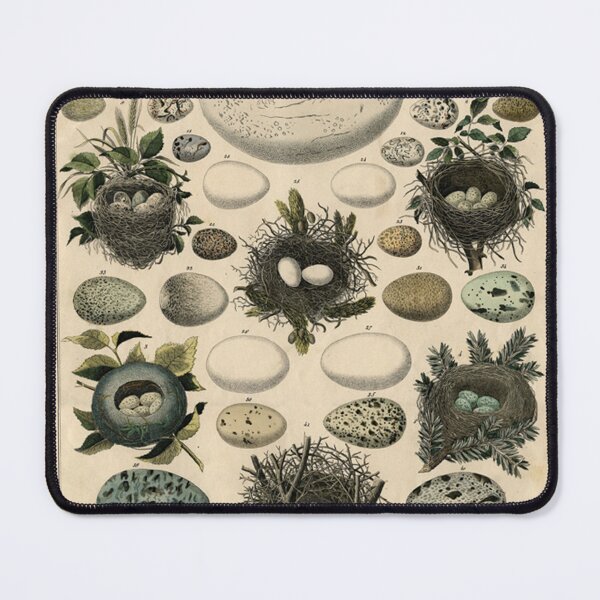 Item preview, Egg aesthetic pack designed and sold by Anne Peoples.
