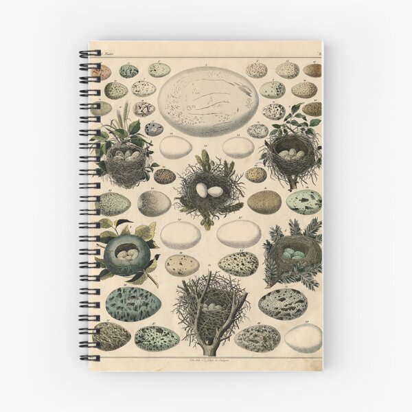 Item preview, Egg aesthetic pack designed and sold by Anne Peoples.