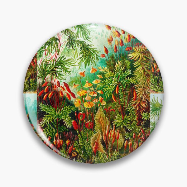 Item preview, Muscinae–Laubmoose - mosses-Vintage Botanical  by Ernst Haeckel designed and sold by TeeARTHY.
