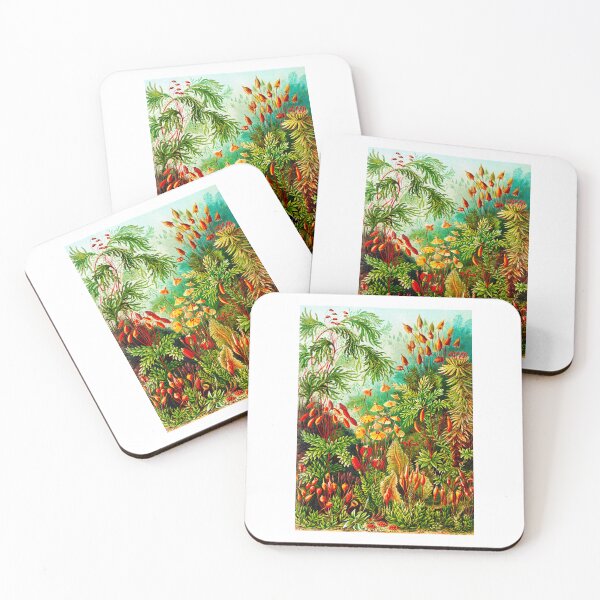 Item preview, Muscinae–Laubmoose - mosses-Vintage Botanical  by Ernst Haeckel designed and sold by TeeARTHY.