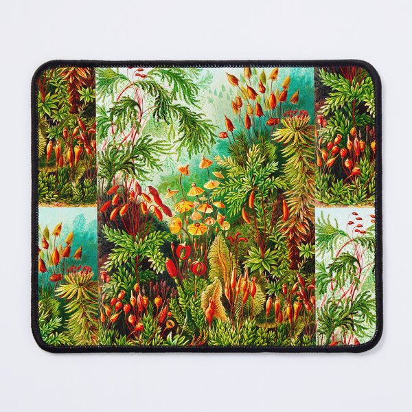 Item preview, Muscinae–Laubmoose - mosses-Vintage Botanical by Ernst Haeckel designed and sold by TeeARTHY.