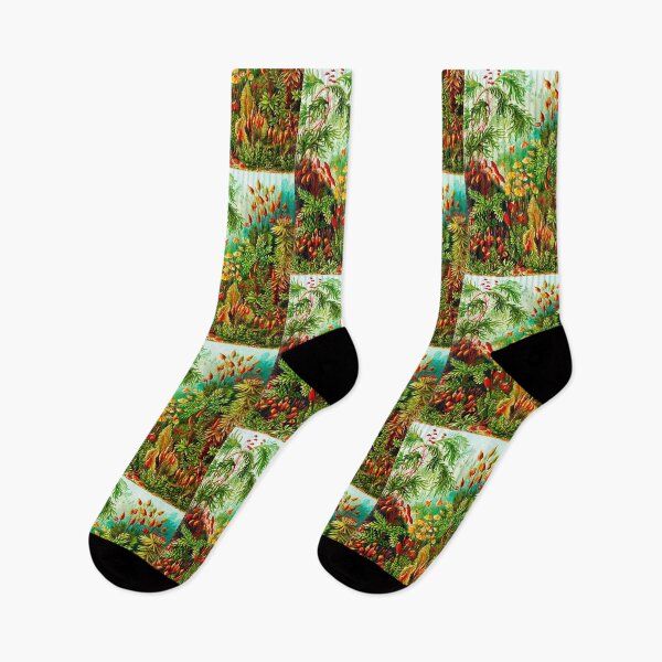 Item preview, Muscinae–Laubmoose - mosses-Vintage Botanical  by Ernst Haeckel designed and sold by TeeARTHY.