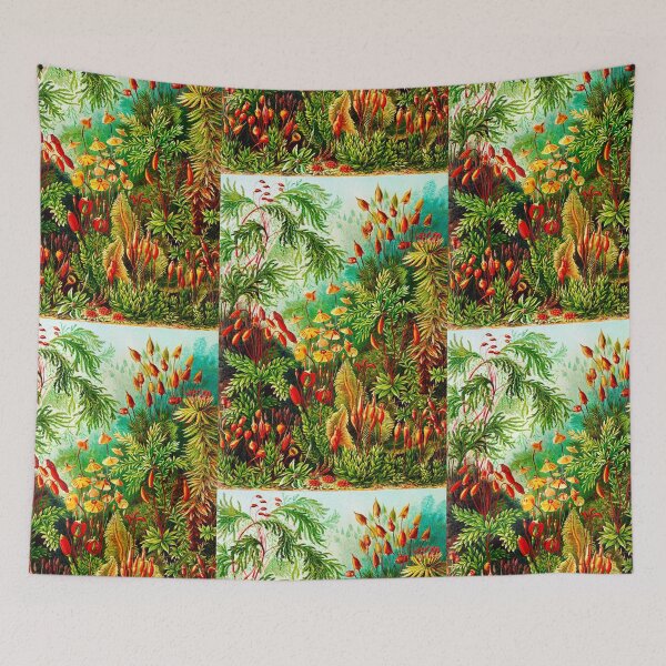 Item preview, Muscinae–Laubmoose - mosses-Vintage Botanical  by Ernst Haeckel designed and sold by TeeARTHY.