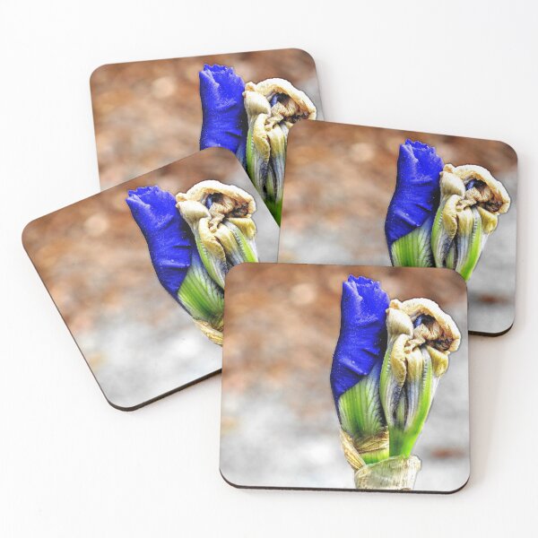 Item preview, Blue Iris Unfurls 2 designed and sold by BBrightman.