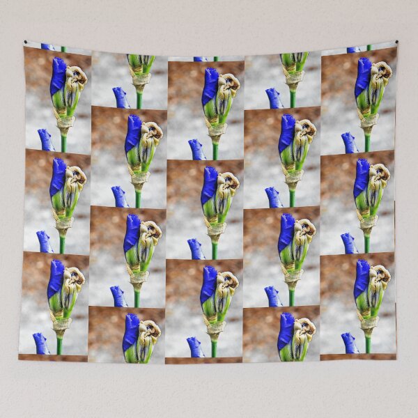Item preview, Blue Iris Unfurls 2 designed and sold by BBrightman.