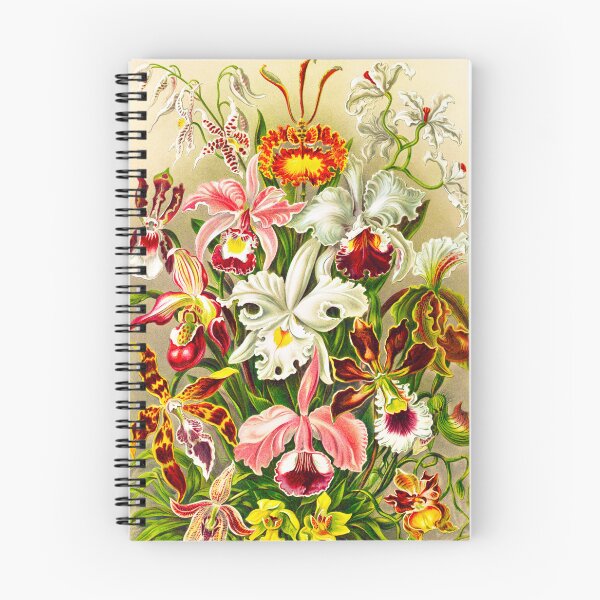 Artikelvorschau, Orchideae–Denusblumen - Ernst Haeckel entworfen und verkauft von TeeARTHY.