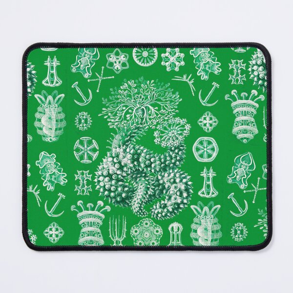 Item preview, Thuroidea–Gurkensterne -sea cucumber by Ernst Haeckel designed and sold by TeeARTHY.