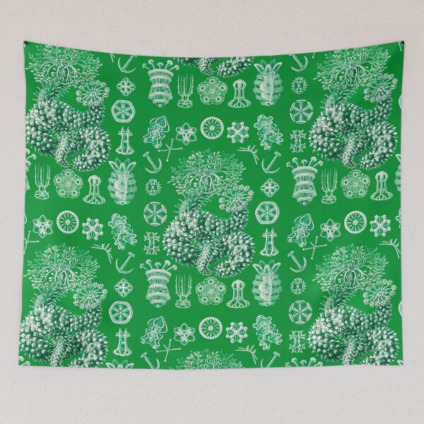 Item preview, Thuroidea–Gurkensterne -sea cucumber by Ernst Haeckel designed and sold by TeeARTHY.