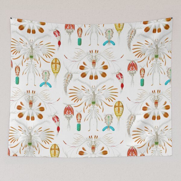 Item preview, Copepoda–Ruderkrebse  Ernst Haeckel designed and sold by TeeARTHY.