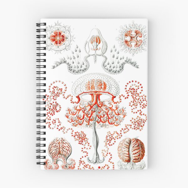 Item preview, Decapoda–Behnfukkreble - decapods  Ernst Haeckel designed and sold by TeeARTHY.
