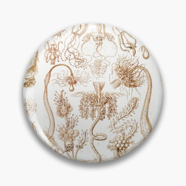 Item preview, Diatomea–Schachtellinge  Ernst Haeckel designed and sold by TeeARTHY.