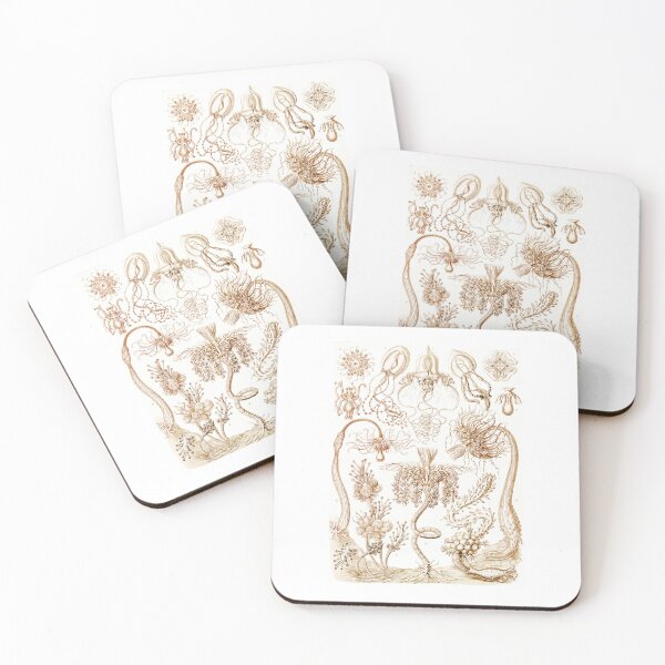 Item preview, Diatomea–Schachtellinge  Ernst Haeckel designed and sold by TeeARTHY.