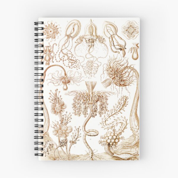 Item preview, Diatomea–Schachtellinge  Ernst Haeckel designed and sold by TeeARTHY.