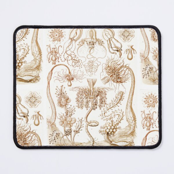 Item preview, Diatomea–Schachtellinge Ernst Haeckel designed and sold by TeeARTHY.