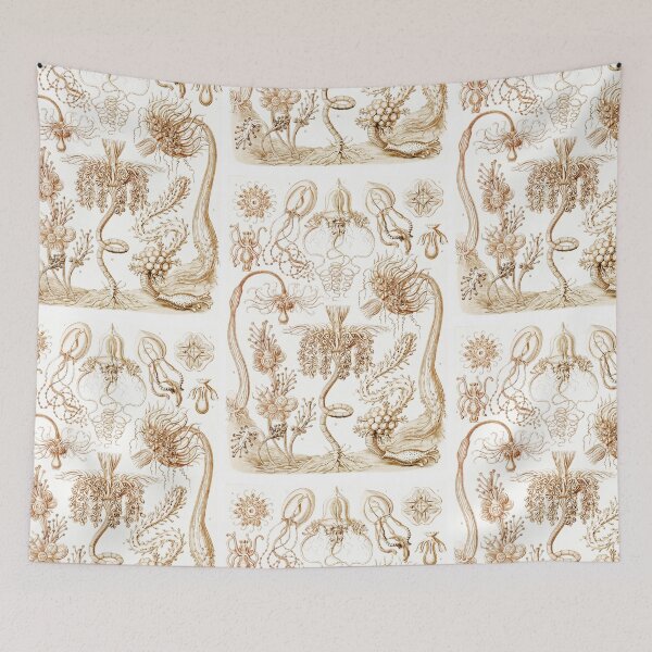 Item preview, Diatomea–Schachtellinge  Ernst Haeckel designed and sold by TeeARTHY.