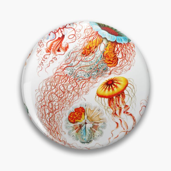 Item preview, Discomedusae–Scheibenquallen -Pelagiidae   Ernst Haeckel designed and sold by TeeARTHY.