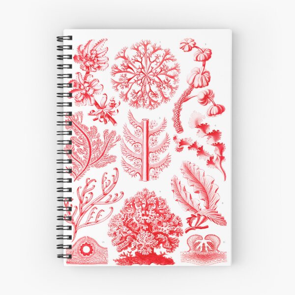 Item preview, Florideae–Rotalgen  Ernst Haeckel designed and sold by TeeARTHY.