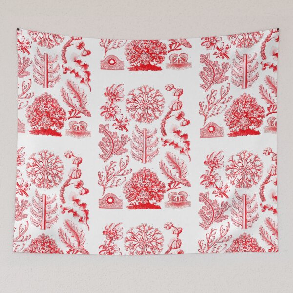 Item preview, Florideae–Rotalgen  Ernst Haeckel designed and sold by TeeARTHY.