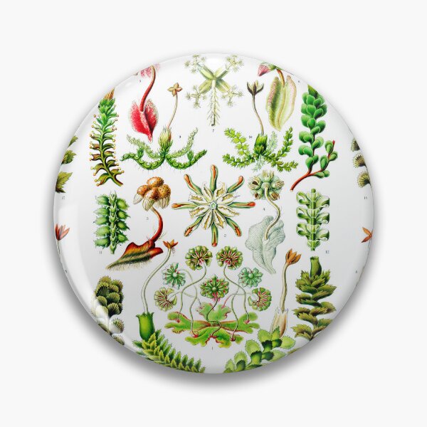 Item preview, Hepaticae–Lebermoose -Liverworts Ernst Haeckel designed and sold by TeeARTHY.