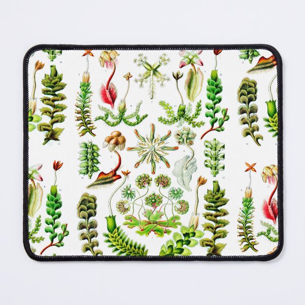 Item preview, Hepaticae–Lebermoose -Liverworts Ernst Haeckel designed and sold by TeeARTHY.