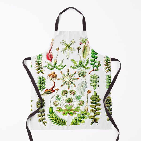 Item preview, Hepaticae–Lebermoose -Liverworts Ernst Haeckel designed and sold by TeeARTHY.