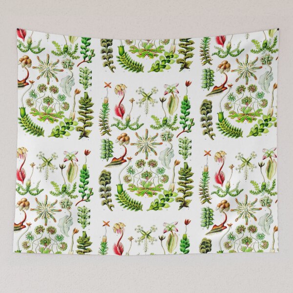 Item preview, Hepaticae–Lebermoose -Liverworts Ernst Haeckel designed and sold by TeeARTHY.