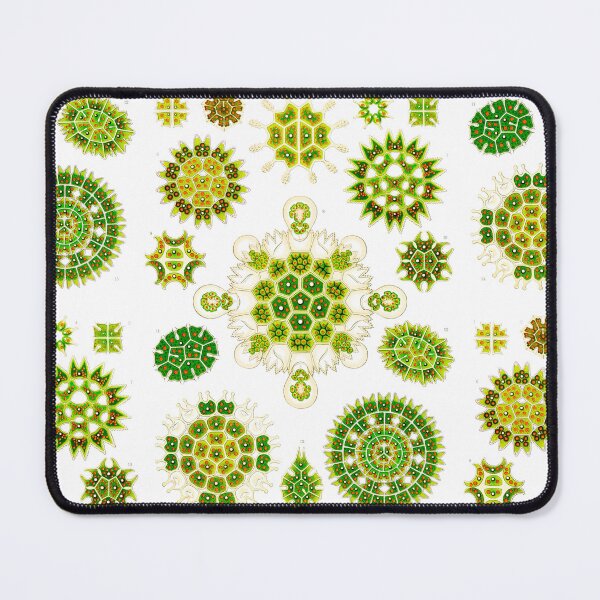 Item preview, Melethallia–Gesellige Algetten  Ernst Haeckel designed and sold by TeeARTHY.