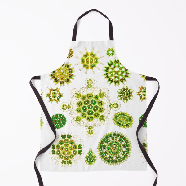 Item preview, Melethallia–Gesellige Algetten Ernst Haeckel designed and sold by TeeARTHY.