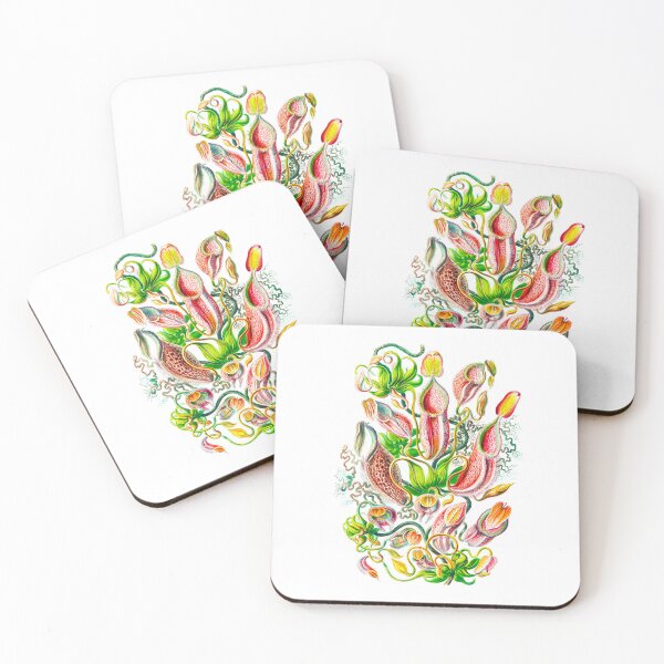 Item preview, Nepenthaceae–Kannenpflanzen -Tropical pitcher plants  Ernst Haeckel designed and sold by TeeARTHY.