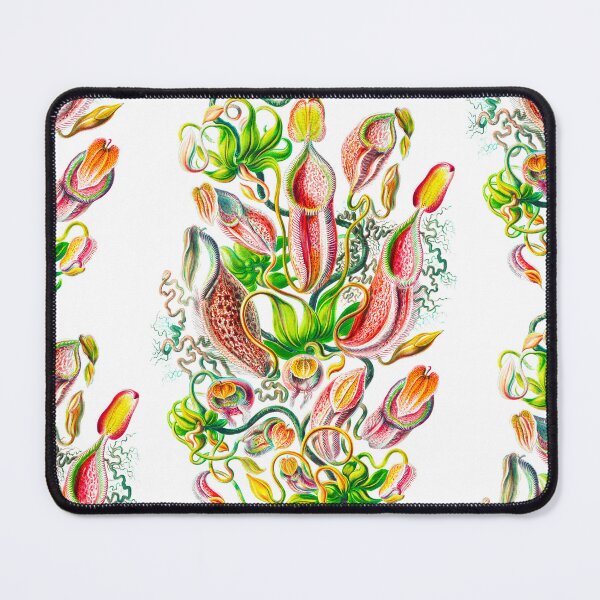 Item preview, Nepenthaceae–Kannenpflanzen -Tropical pitcher plants  Ernst Haeckel designed and sold by TeeARTHY.