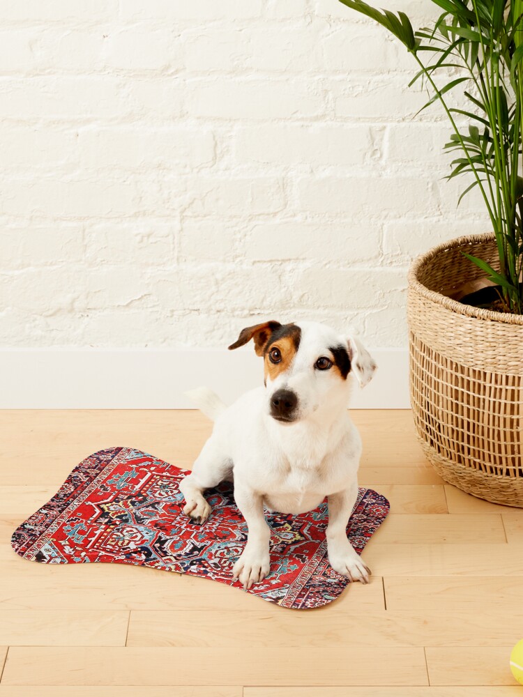 Absorbent Dog Food Mat, Non Slip Rubber Back, Boho Placemats