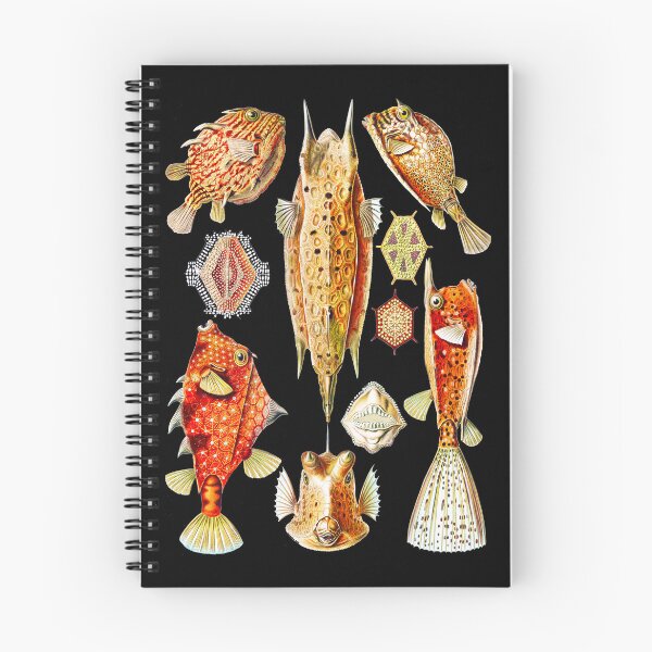 Item preview, Ostraciontes–Kofferfilche- Box fishes  Ernst Haeckel designed and sold by TeeARTHY.